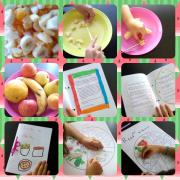 Mini roda dos alimentos